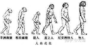 人类有没有可能是被设计出来的？979 / 作者:z363046305 / 帖子ID:48581