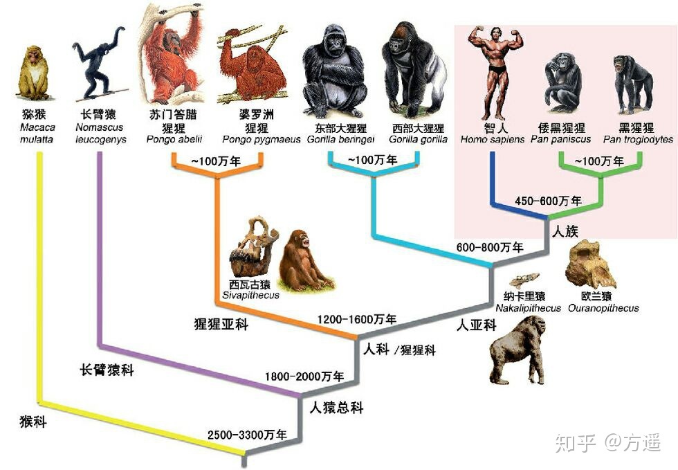 人类有没有可能是被设计出来的？719 / 作者:z363046305 / 帖子ID:48581