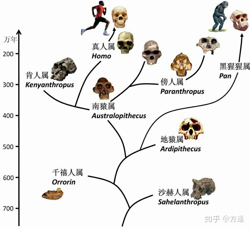 人类有没有可能是被设计出来的？977 / 作者:z363046305 / 帖子ID:48581