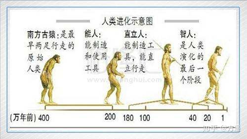 人类有没有可能是被设计出来的？329 / 作者:z363046305 / 帖子ID:48581