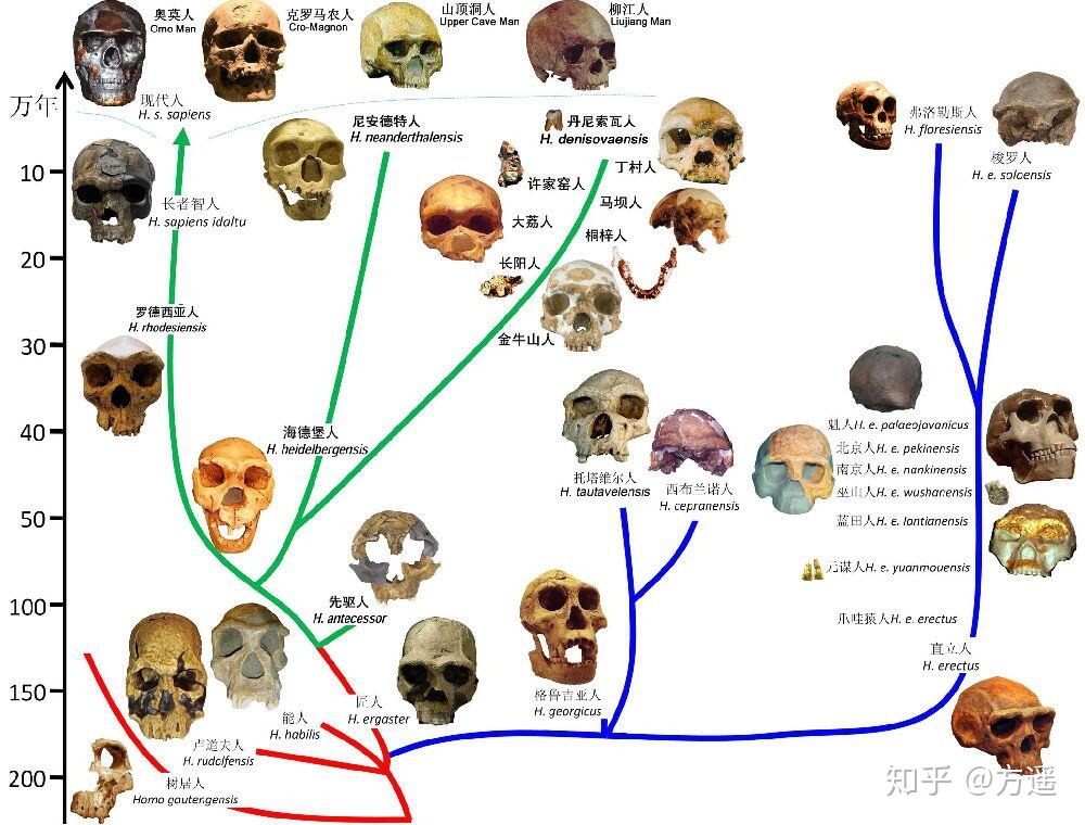 人类有没有可能是被设计出来的？362 / 作者:z363046305 / 帖子ID:48581