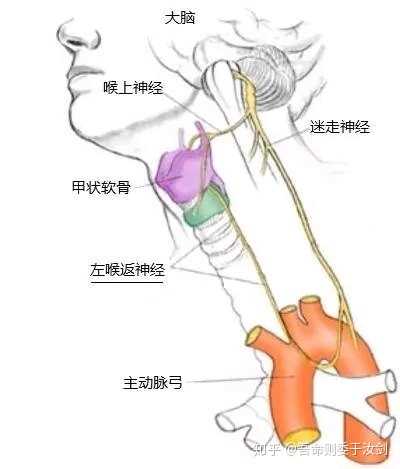 人类有没有可能是被设计出来的？265 / 作者:`ivY) / 帖子ID:48581