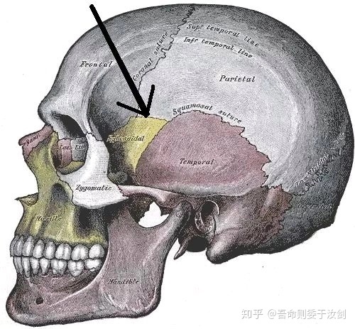 人类有没有可能是被设计出来的？116 / 作者:`ivY) / 帖子ID:48581