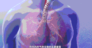 人类有没有可能是被设计出来的？445 / 作者:`ivY) / 帖子ID:48581