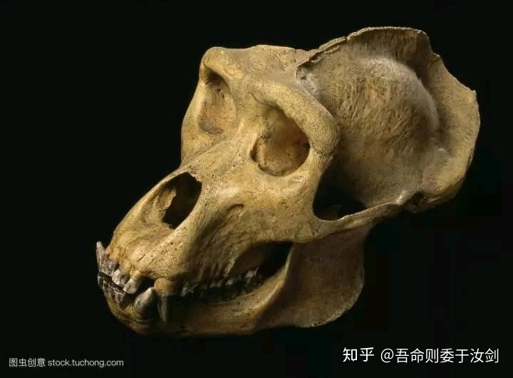 人类有没有可能是被设计出来的？48 / 作者:`ivY) / 帖子ID:48581