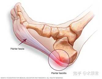 人类有没有可能是被设计出来的？688 / 作者:ADUPREce / 帖子ID:48581