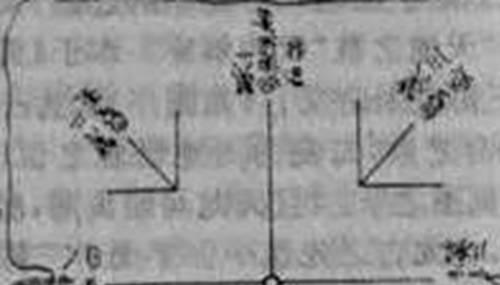 《河图》《洛书》之谜,河洛数字能推算生死354 / 作者:小深 / 帖子ID:48982