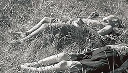 1942芬兰灵异事件,不费一兵一卒消灭苏军262 / 作者:网上的人生 / 帖子ID:48830