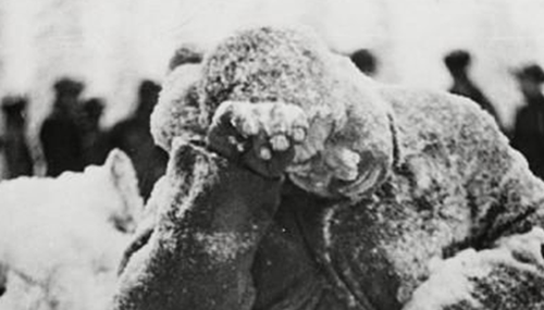 1942芬兰灵异事件,不费一兵一卒消灭苏军329 / 作者:网上的人生 / 帖子ID:48830