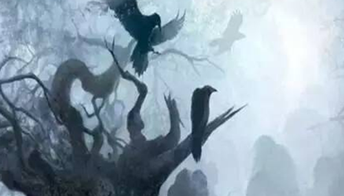 揭鬼看到人而人看不到鬼之谜,鬼是否真的存在?957 / 作者:小深 / 帖子ID:49077