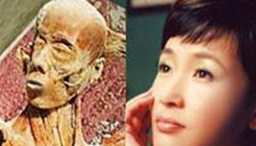 张伟杰失踪之谜,大连电视台女主持死了-503 / 作者:网上的人生 / 帖子ID:48889