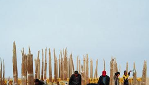 小河墓地之谜,六大谜团到底隐藏什么秘密701 / 作者:小深 / 帖子ID:49017