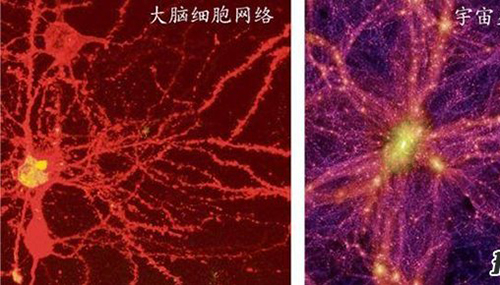 宇宙其实是人的大脑，人脑结构竟与宇宙结构极其的相似767 / 作者:网上的人生 / 帖子ID:48872