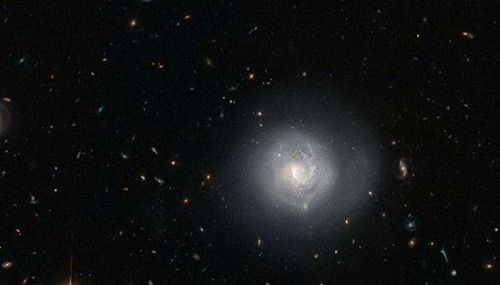 透镜星系之谜,旁边的巨大黑洞虎视眈眈731 / 作者:小深 / 帖子ID:49032