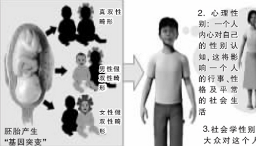 雌雄难辨的两性人，拥有两套生殖器官157 / 作者:网上的人生 / 帖子ID:48841