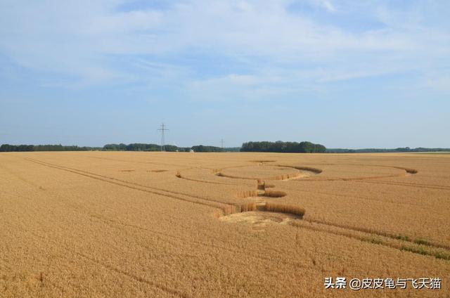 6月法国麦田怪圈合集：你能读懂怪圈含义吗？（多图）324 / 作者:CCouQPvx / 帖子ID:48935