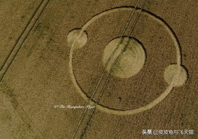 6月法国麦田怪圈合集：你能读懂怪圈含义吗？（多图）568 / 作者:CCouQPvx / 帖子ID:48935