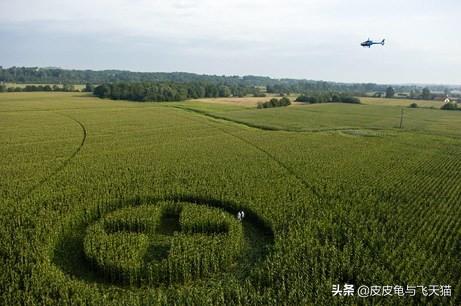 6月法国麦田怪圈合集：你能读懂怪圈含义吗？（多图）384 / 作者:CCouQPvx / 帖子ID:48935