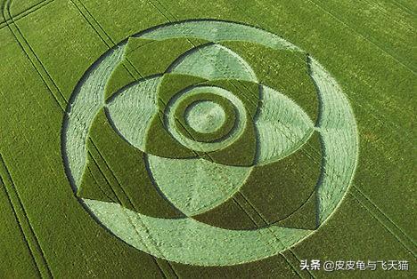 6月法国麦田怪圈合集：你能读懂怪圈含义吗？（多图）505 / 作者:CCouQPvx / 帖子ID:48935