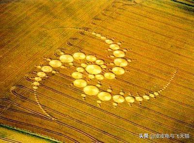 6月法国麦田怪圈合集：你能读懂怪圈含义吗？（多图）866 / 作者:CCouQPvx / 帖子ID:48935
