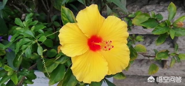 宇宙的C位是哪？宇宙外面是什么？472 / 作者:ch_awen / 帖子ID:48952