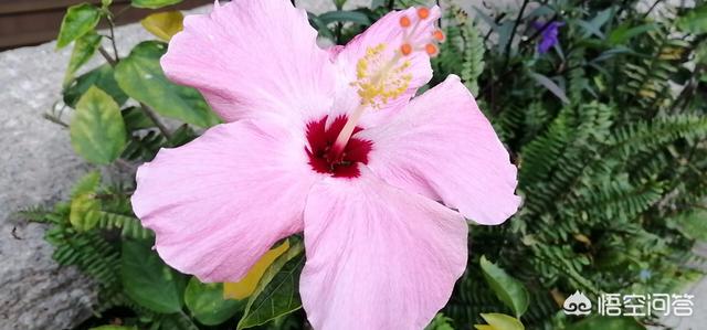 宇宙的C位是哪？宇宙外面是什么？775 / 作者:ch_awen / 帖子ID:48952