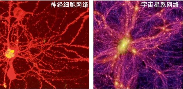 宇宙会是一个巨型生物，而地球只是其中的一个细胞吗？651 / 作者:buffona / 帖子ID:48966