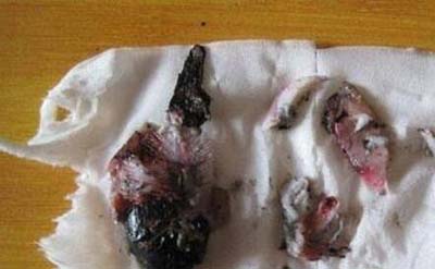 天涯曝光虐鱼女图片，女子直播烧烤金鱼给男友吃816 / 作者:网上的人生 / 帖子ID:49215