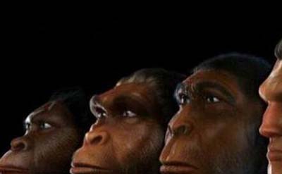 人类几千年后或产生新人种，身高2米的棕色巨人/基因突变504 / 作者:ufo是假象 / 帖子ID:49408