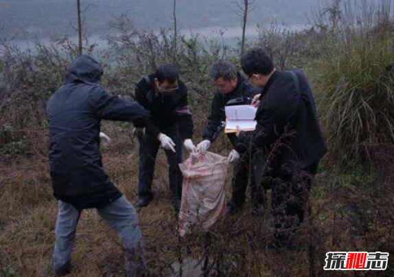 南京大学碎尸案破了吗，刁爱青碎尸案真相曝光257 / 作者:网上的人生 / 帖子ID:49595