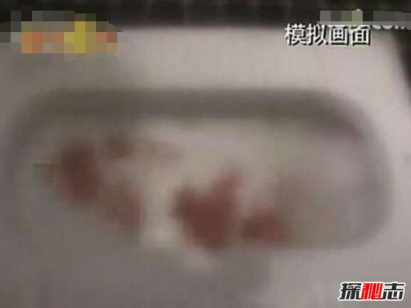 哈尔滨碎尸案，主犯杨树彬将十名小姐被绞成肉末561 / 作者:网上的人生 / 帖子ID:49488