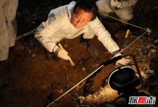 揭秘青蛙少年失踪案真相960 / 作者:志向探秘 / 帖子ID:49700
