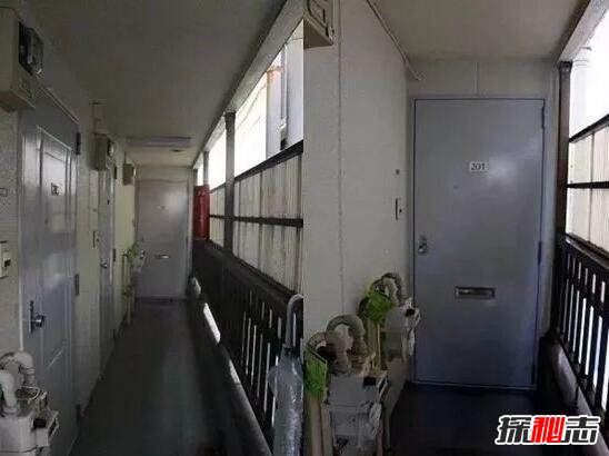 江歌事件刘鑫照片，江歌刘鑫照片曝光，昔日形影不离939 / 作者:志向探秘 / 帖子ID:49704