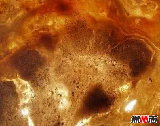 宇宙中最早出现的生命是什么，35亿年前就出现细胞906 / 作者:志向探秘 / 帖子ID:49748