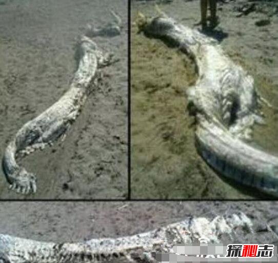 盘点中国四大无人区，新疆罗布泊经惊现诡异复制人222 / 作者:网上的人生 / 帖子ID:49546