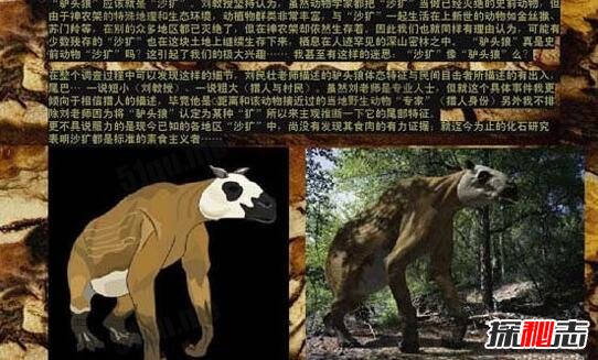 神龙架驴头狼，驴头狼身的诡异存在275 / 作者:志向探秘 / 帖子ID:49672