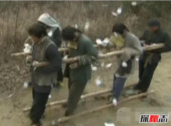揭秘印度神秘的黑魔法，让死尸自己走到坟墓122 / 作者:网上的人生 / 帖子ID:49556