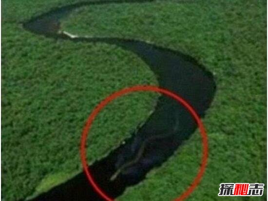神秘巨蛇现身马来西亚，巨蛇长有龙头7个鼻孔682 / 作者:志向探秘 / 帖子ID:49671