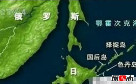 日本择捉岛之谜，万年前小鱼在六十度沸腾水中复活207 / 作者:网上的人生 / 帖子ID:49540
