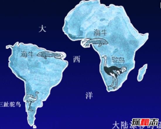 大陆漂移之谜，大陆漂移的假说_大陆漂移证据955 / 作者:网上的人生 / 帖子ID:49589