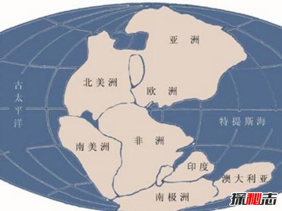 大陆漂移之谜，大陆漂移的假说_大陆漂移证据451 / 作者:网上的人生 / 帖子ID:49589