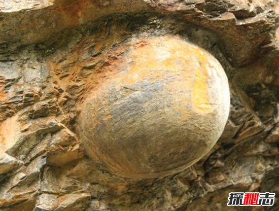 贵州千年石崖产蛋之谜，产蛋崖为什么会产石蛋396 / 作者:网上的人生 / 帖子ID:49491