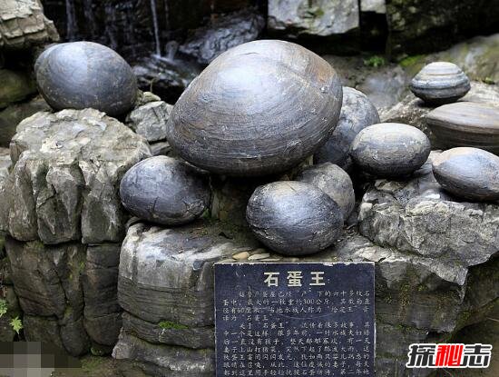 贵州千年石崖产蛋之谜，产蛋崖为什么会产石蛋910 / 作者:网上的人生 / 帖子ID:49491