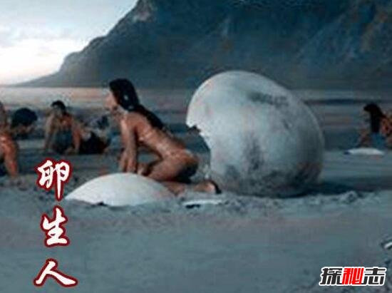 卵生人之谜，由蛋孵化成原始人341 / 作者:网上的人生 / 帖子ID:49507