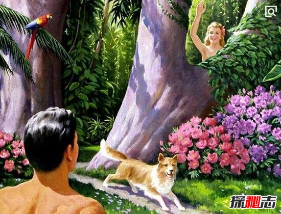 圣经传说伊甸园之谜，圣经里的伊甸园在哪914 / 作者:网上的人生 / 帖子ID:49548