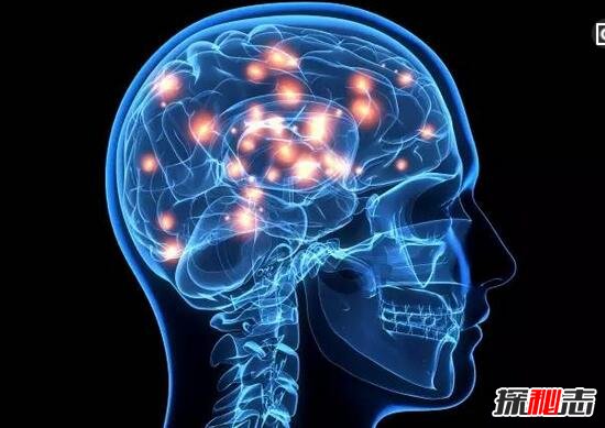 人体衰老之谜，人体衰老的原因749 / 作者:网上的人生 / 帖子ID:49627