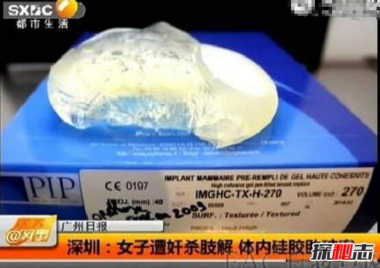 深圳碎尸案，美艳女模惨遭先奸后杀438 / 作者:网上的人生 / 帖子ID:49635