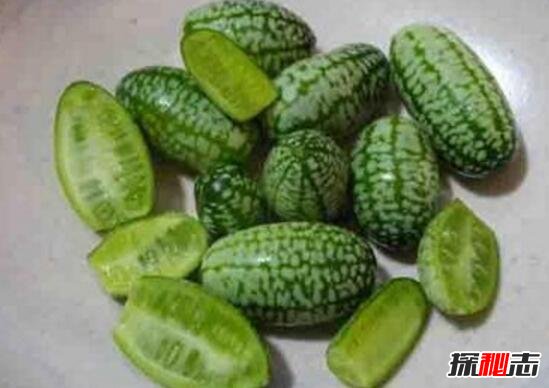 拇指西瓜佩普基诺直径3cm，拇指西瓜怎么吃：一口吃十个8 / 作者:志向探秘 / 帖子ID:49684