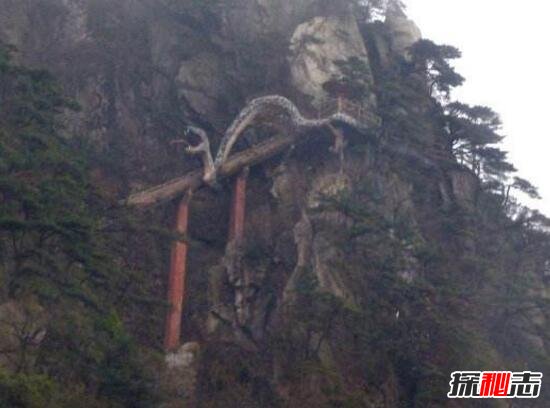 黄山龙蟒飞升事件，还原中国最真实的渡劫事件600 / 作者:网上的人生 / 帖子ID:49529