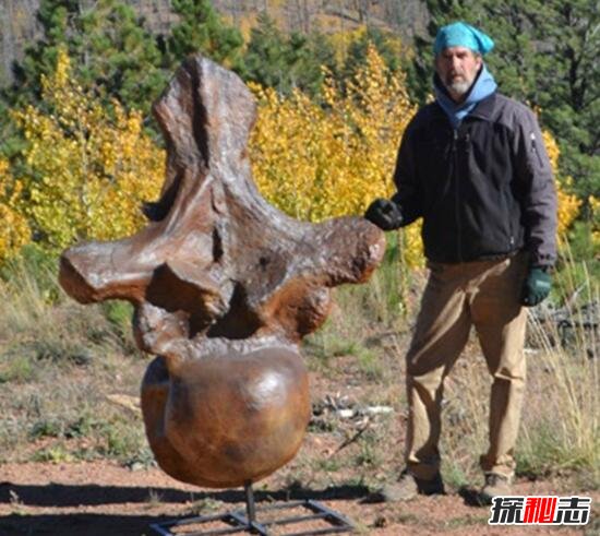 史上最大的恐龙，阿根廷龙长40米重达100吨616 / 作者:网上的人生 / 帖子ID:49511